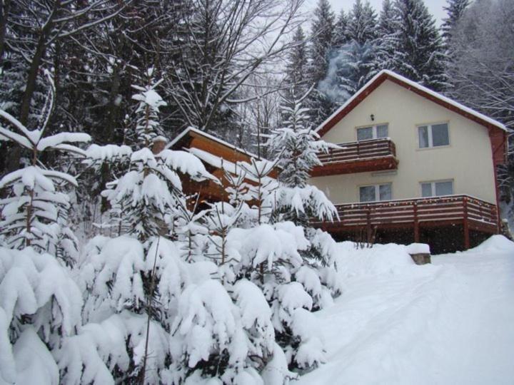 Soaptele Padurii & Casuta Din Padure Sucevita Extérieur photo