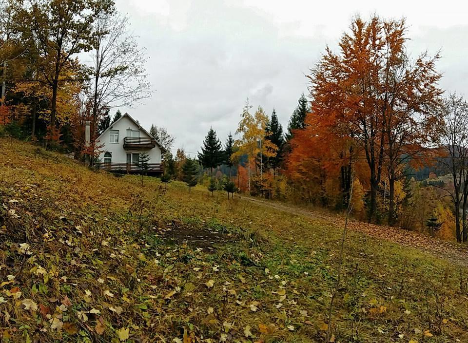 Soaptele Padurii & Casuta Din Padure Sucevita Extérieur photo