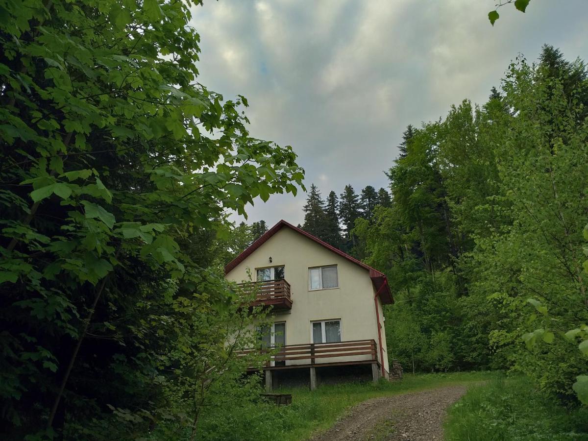 Soaptele Padurii & Casuta Din Padure Sucevita Extérieur photo